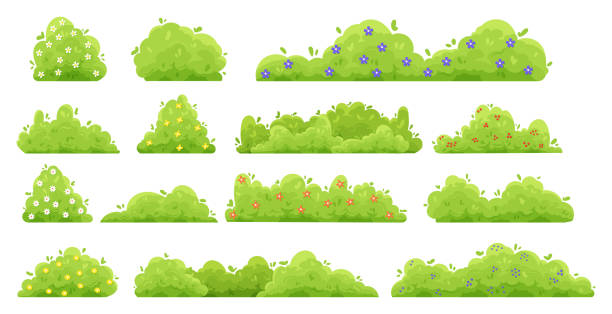 꽃과 녹색 덤불. 만화 숲과 꽃관목 공원. 벡터 장식 헤지 격리 세트 - grove stock illustrations