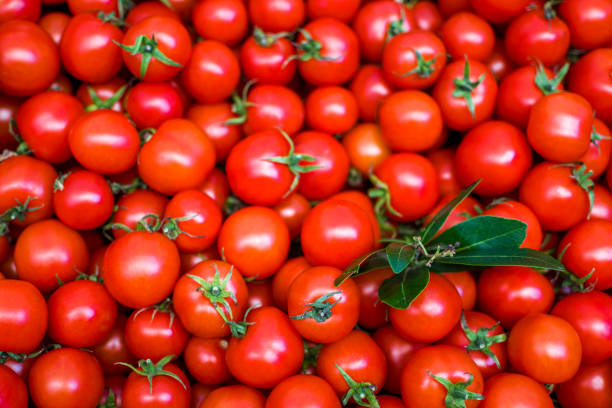 istock Organic tomatoes sale on market stall 1369928128