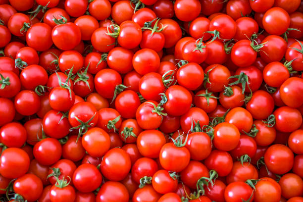 Organic tomatoes sale on market stall