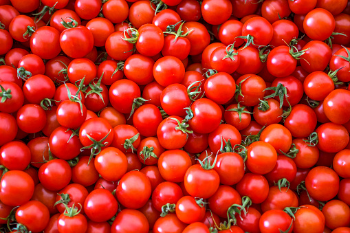 Organic tomatoes sale on market stall