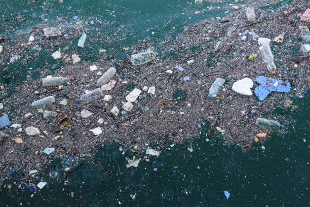 poluição da água - water pollution chemical garbage plastic - fotografias e filmes do acervo