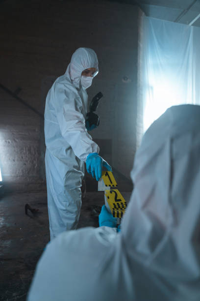 istock Forensic workers at the crime scene in an abandoned room, exchanging numbers with each other 1369934298