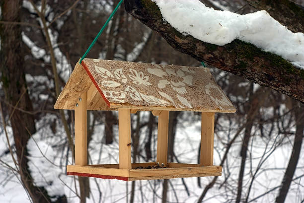 istock wooden bird feeder on a tree in winter 1369935062