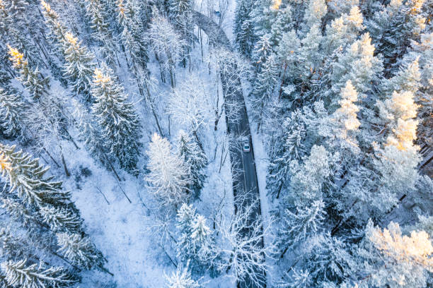istock Winter panorama of nature landscape 1369936093