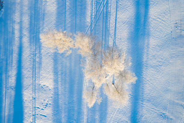 Aerial winter sunny frozen morning view of nature landscape