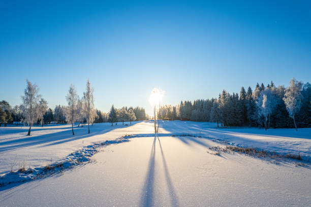istock Winter panorama of nature landscape 1369936214