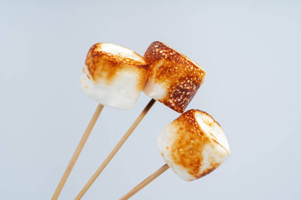 istock Roasted Marshmallow on a stick, isolated on a white background. 1369939048