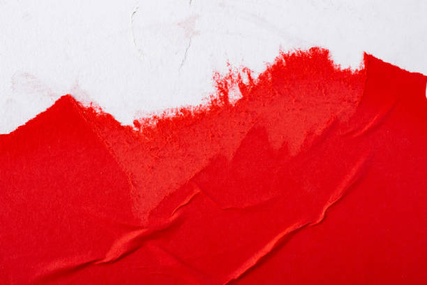 istock Crumpled red and white paper. Abstract background for design. 1369939103