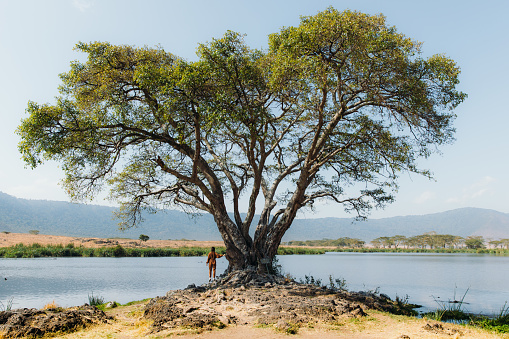 Young woman explorer staying under acacia tree by the lake watching hippopotamus with view of the mountains in Ngorongoro National Park, Tanzania