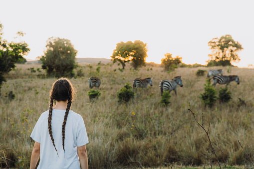 Young woman contemplating a view of zebras having sunset dinner walking at the meadow in Ngorongoro National Park, Tanzania