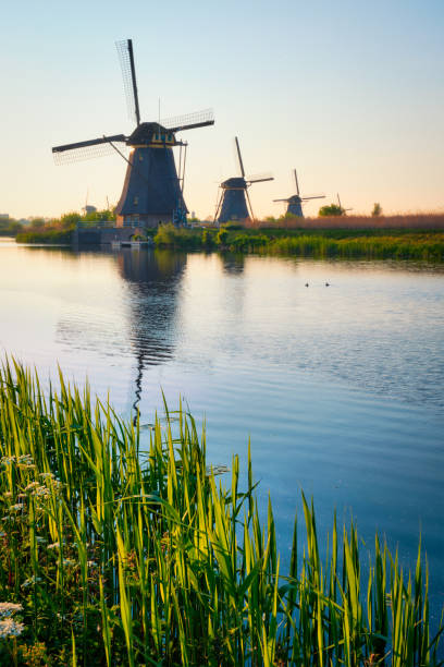 istock Windmills at Kinderdijk in Holland. Netherlands 1369941515