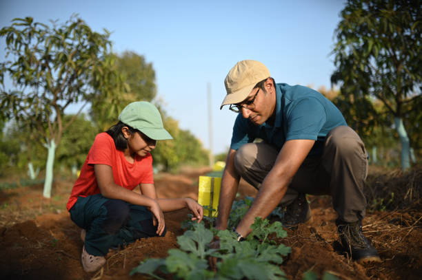 Father and daughter working in a farm together