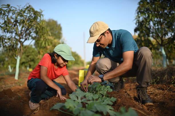 istock Father and daughter working in a farm together 1369943627