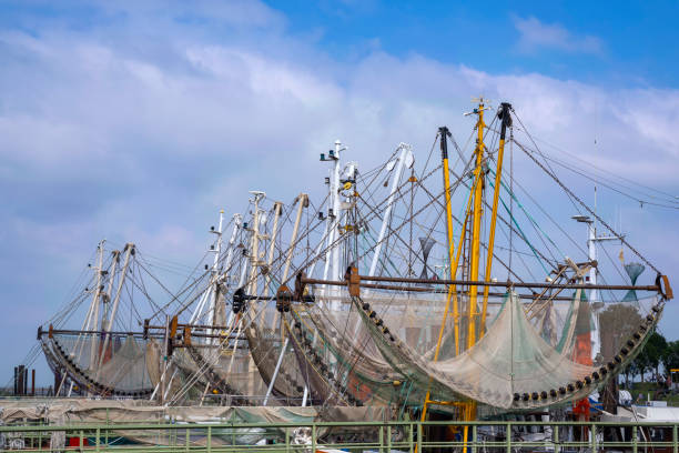 istock Shrimp boats in the harbor 1369943836