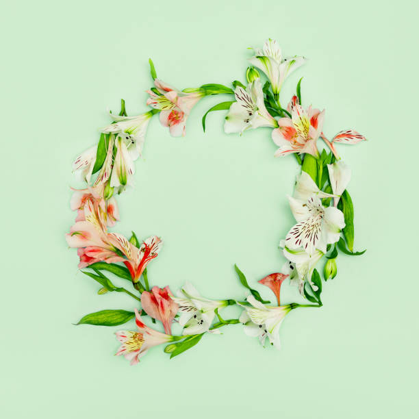 istock Beautiful composition with alstroemeria flowers lying in round shape on pastel blue background. Nature concept. Top view. Flat lay 1369944747