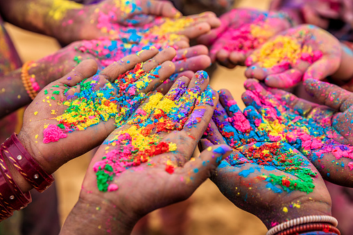 Group of Indian children playing happy holi in Rajasthan, India. Indian children keeping their hands up and showing colorful powders. Holi, the festival of colors, is a religious festival in India, celebrated, with the color powders, during the spring.