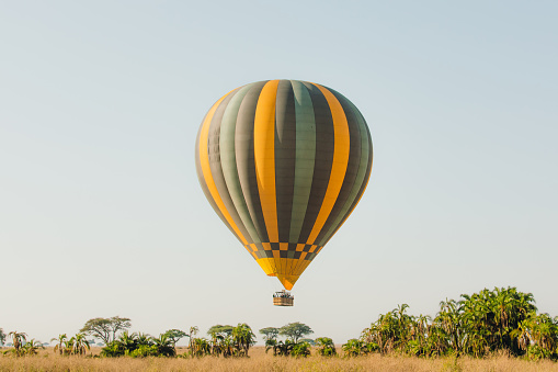Scenic view of the big air balloon flying above the tree area in Serengeti National park during sunrise