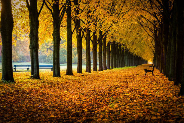 In Hanover, Germany