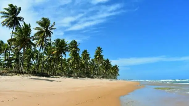 Bahia Brazil beach views