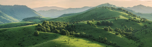 istock Evening light and spring greenery of hills and mountain slopes, panoramic 1369950262