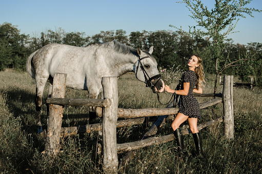 A young beautiful woman in a dress stand a white horse in a field in the summer among the grass. full-length photo. Rustic, countryside style, Love for animals concept.