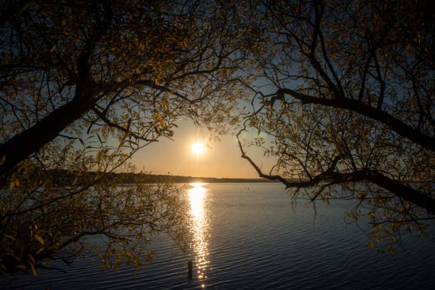 The Steinhuder Meer in autumn at sunset. Trees at the shore, back lit by the sun. Steinhude, Lower Saxony, Germany, Europe