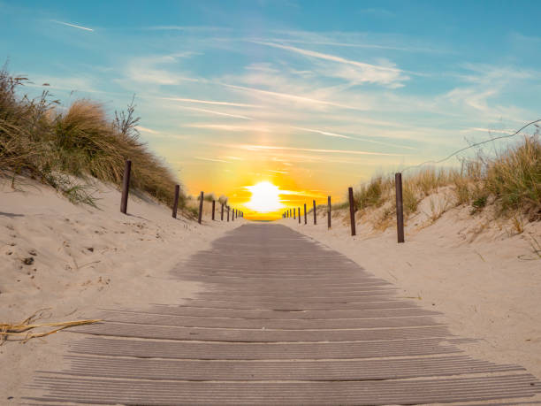 sentiero della spiaggia con tramonto sul mar baltico - beach sunset sand wood foto e immagini stock