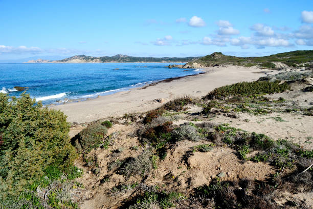istock View of Rena beach in Matteu 1369953965