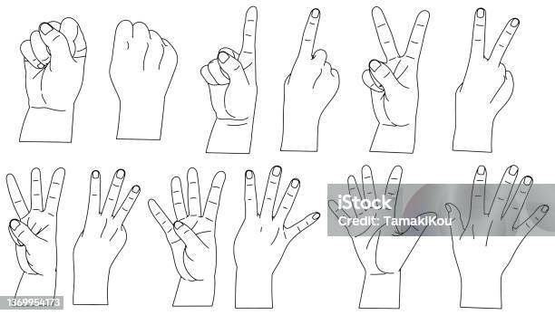 Hand Write Sign Line Hand Hand Sign Line Drawing Set Vector Material Stock Illustration ...