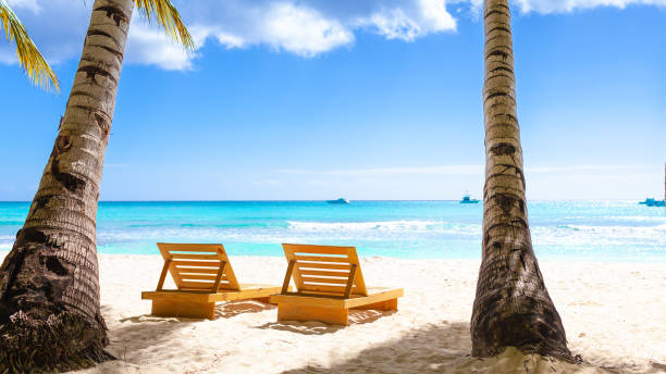 istock Tropical white sand beach with palms and sea 1369954886