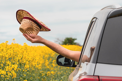 Man enjoying car ride in blooming summer countryside landscape, hand with straw hat reaching out the window, selective focus