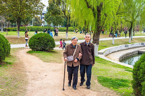 Senior Man and Woman Walking Outside. A  senior couple, 80 years old, helping each other, arm in arm,  is walking on a park, woman holding a walking stick.\