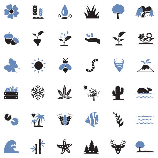 Nature Icons. Two Tone Flat Design. Vector Illustration. Tree, Nature, Grass cactus symbols stock illustrations