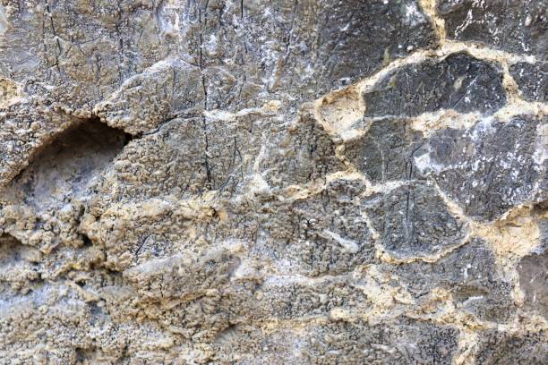 istock Close up view at a natural limestone wall in the mountains. 1369959171
