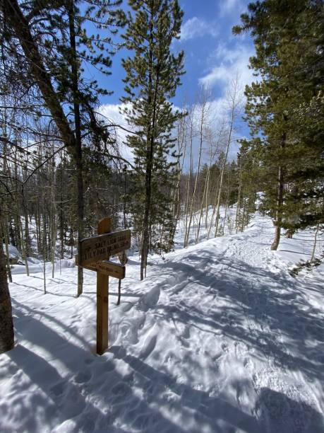 Hiking in a Winter Forest