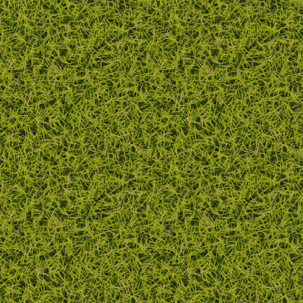 Nature Plants Garden Green Grass Environment HD - seamless high resolution and quality pattern tile for 2D design and 3D as background or texture for objects - ready to use.