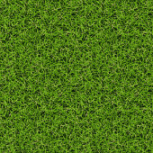 istock Nature Plants Garden Green Grass Environment - Seamless Tile Pattern HD - 03 1369961763