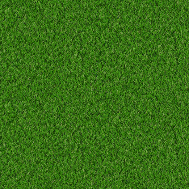 Nature Plants Garden Green Grass Environment - Seamless Tile Pattern HD - 01 stock photo