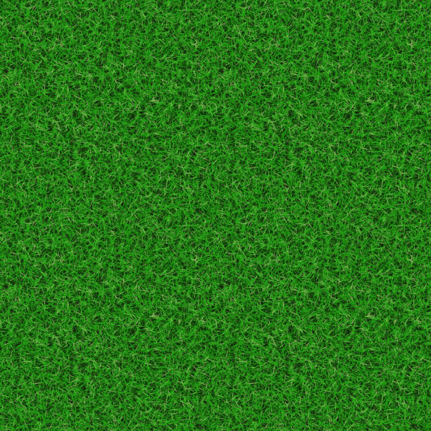 Nature Plants Garden Green Grass Environment - Seamless Tile Pattern HD - 02 stock photo