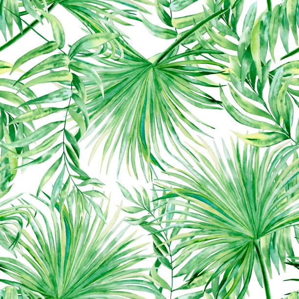 istock Chamaedorea and washingtonia palm leaf watercolor seamless pattern. Botanical illustration of tropical green foliage on isolated background. Exotic backdrop. Summer fabric. Wrapping paper. Wallpaper 1369962230
