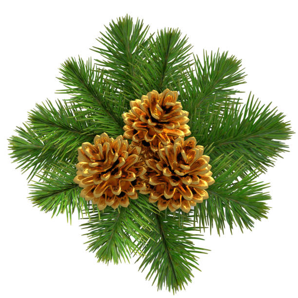 Green christmas wreath of  spruce branches with golden cones isolated on white background 3d rendering
