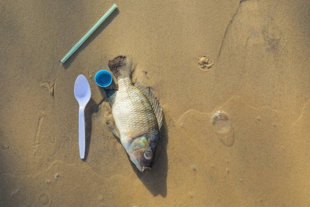 l'effetto dell'inquinamento marino mostra pesci morti con cucchiaio di plastica, cannuccia e tappo di bottiglia. - dead animal foto e immagini stock