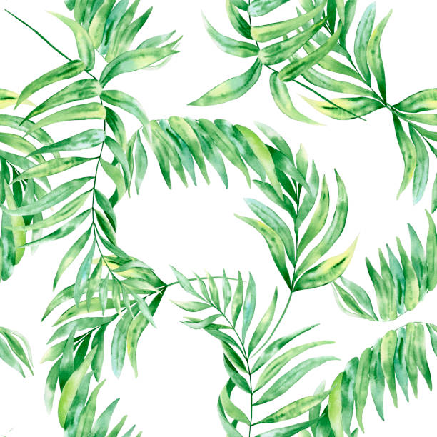 istock Chamaedorea palm leaf watercolor seamless pattern. Botanical illustration of tropical green foliage on isolated background. Exotic backdrop. Summer fabric. Wrapping paper. Wallpaper 1369965576