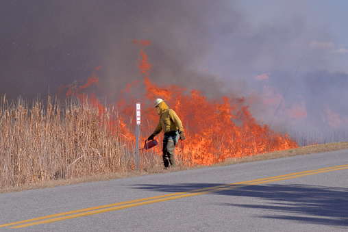 An adult of unknown sex and age, shrouded in protective gear, feeds the flames of a controlled burn in the wetlands of the Blackwater Wildlife Refuge near Cambridge, MD