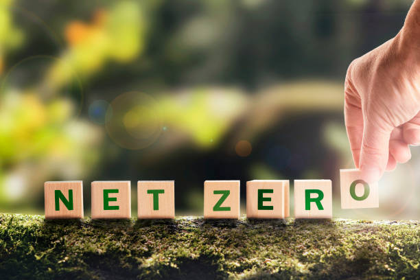 Net zero 2050 Carbon neutral. Net zero greenhouse gas emissions target. Climate neutral long strategy. No toxic gases. Hand puts wooden cubes with netzero icon in green background copy space. stock photo