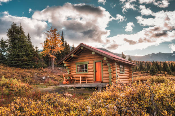 wooden hut in autumn forest at national park - cottage autumn wood woods imagens e fotografias de stock