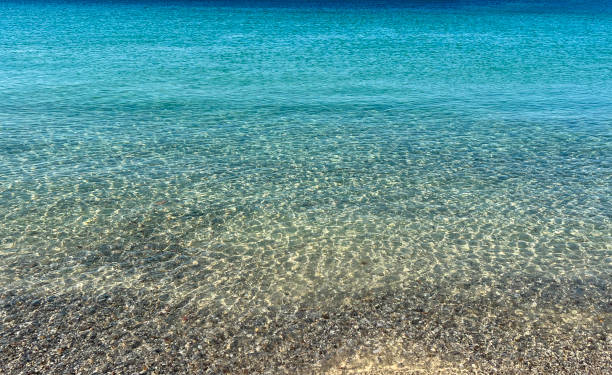 istock Summer beach and sea blue background 1369967671