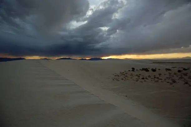 Photo of Parabolic dune at sunset