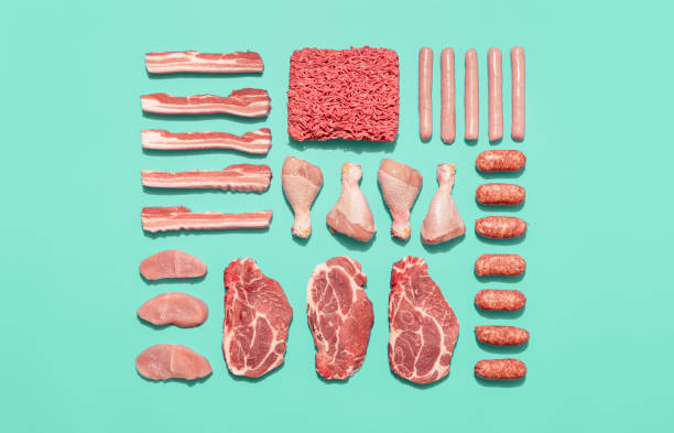 concept for artificial meat