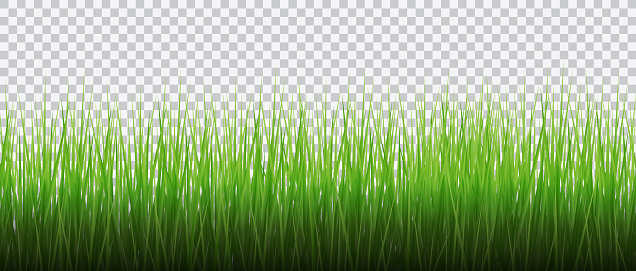 Detailed seamless green grass vector background.